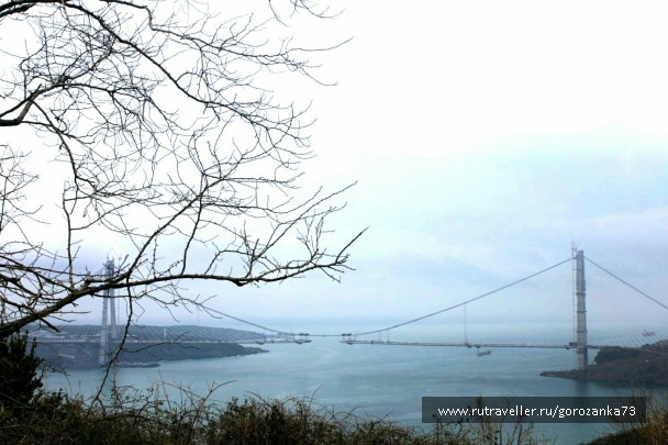 photo 1571857