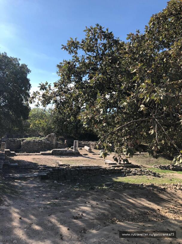 photo 1698416