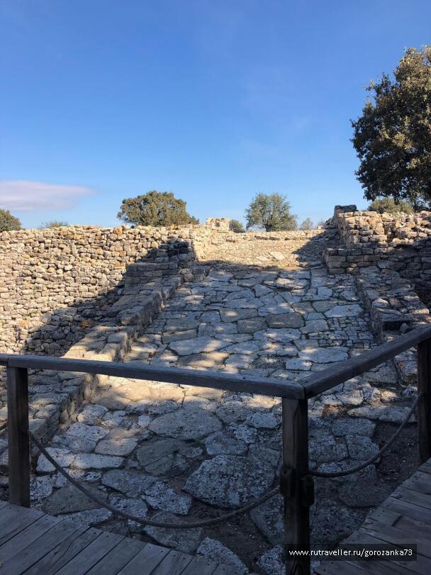 photo 1698425