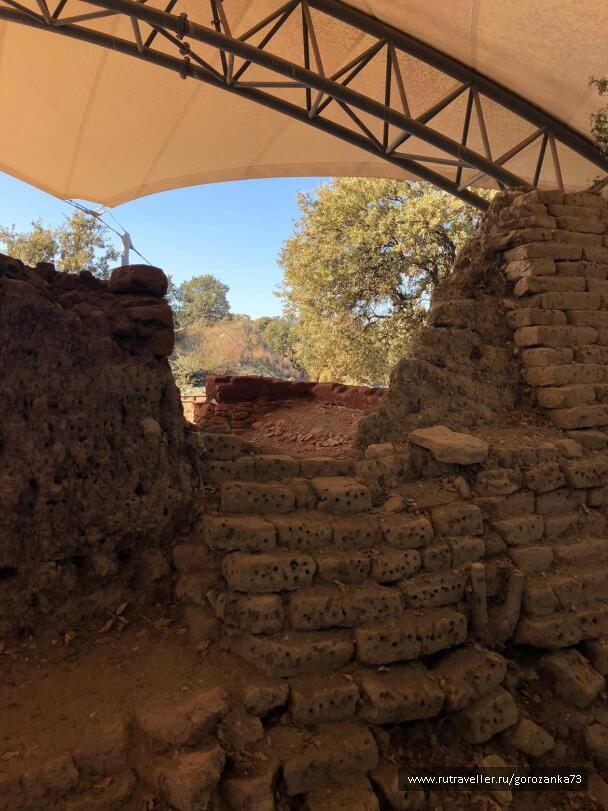 photo 1698427