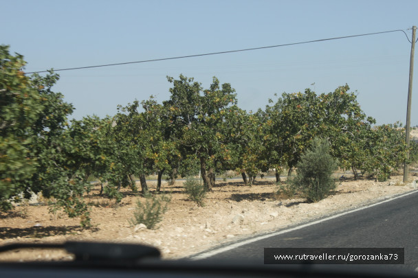 photo 1865359