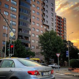 photo 1875911