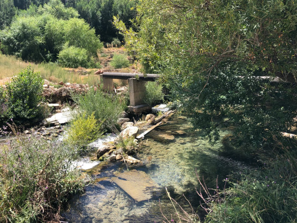 photo 1987653
