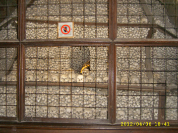 photo 301316