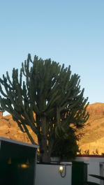 photo 715230