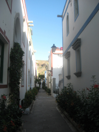photo 715241