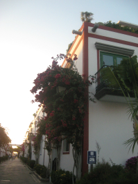 photo 715242