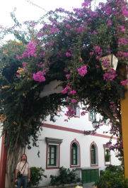 photo 715244