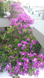 photo 715251