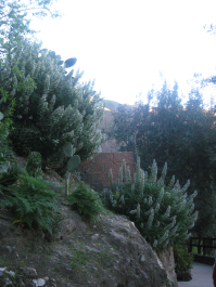 photo 715291