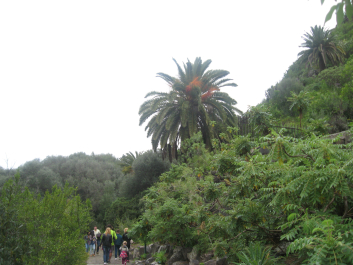 photo 715310