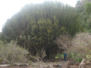 photo 715315