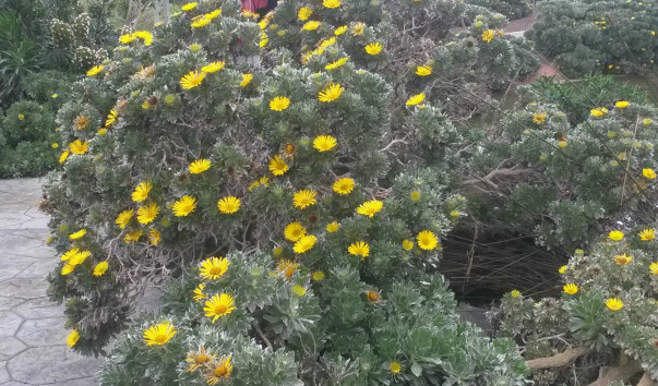 65