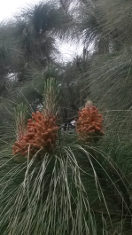 photo 715337