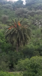 photo 715345
