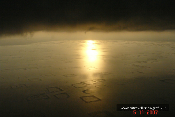 photo 391887