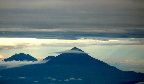 P1000446
