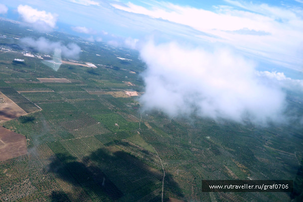 photo 1302637