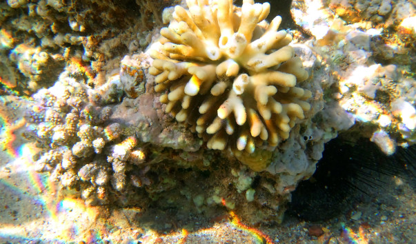 DCIM1053