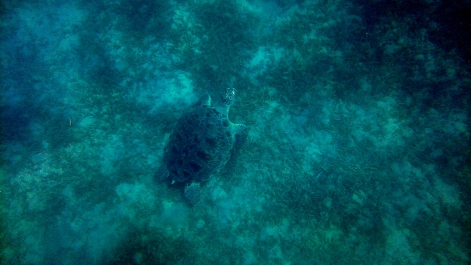 photo 843654