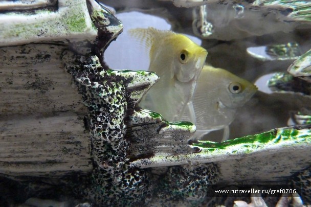photo 843659