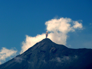 photo 407761