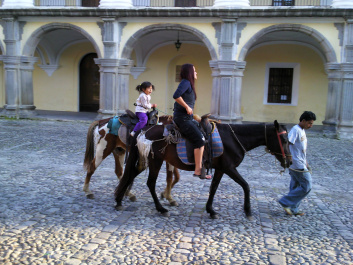 photo 407789
