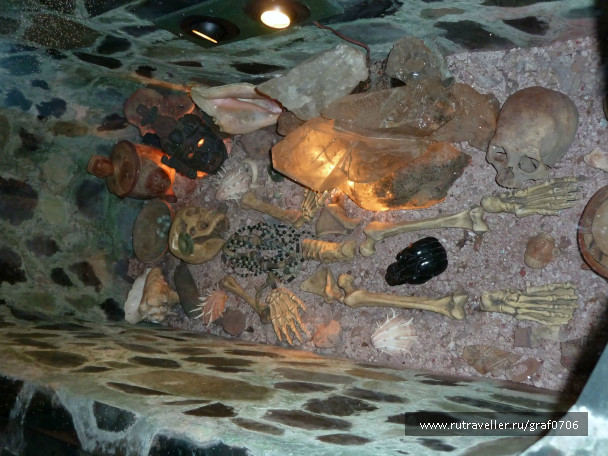 photo 486250