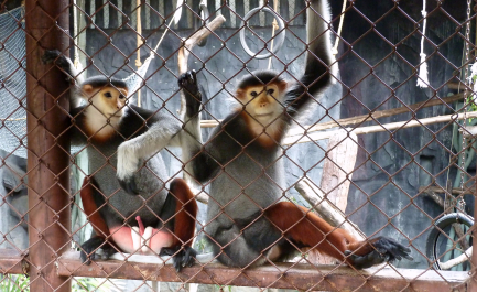 photo 1239882