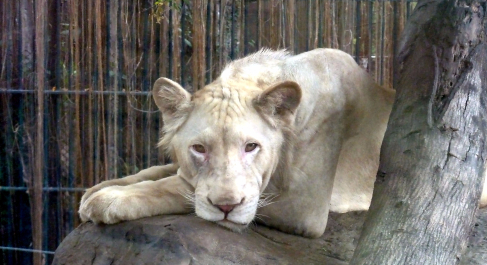 photo 1239885