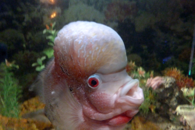 photo 1239892