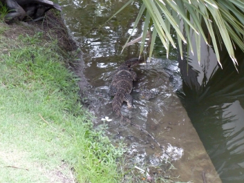 photo 1340593