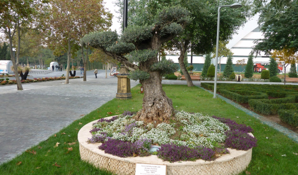 P1040438