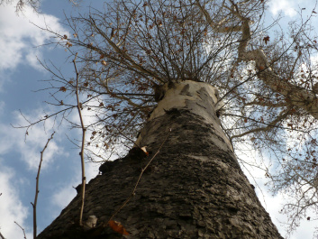 photo 407734