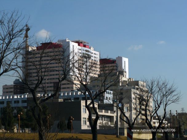 photo 570289