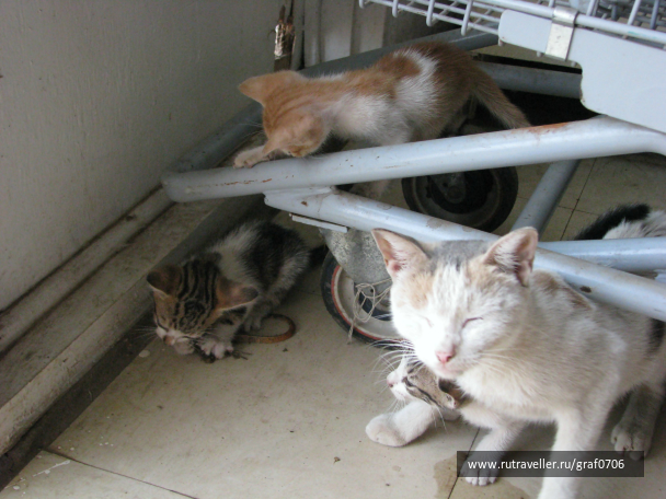 photo 645388