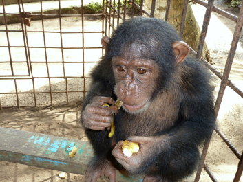 photo 715074