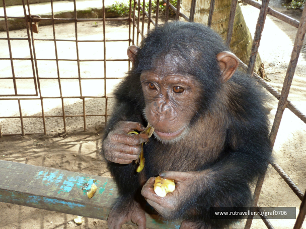 photo 715074