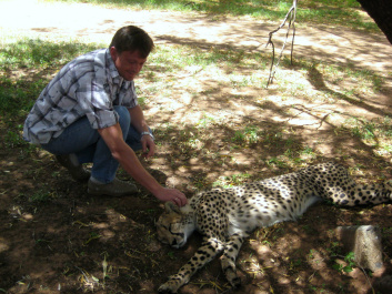 photo 377934