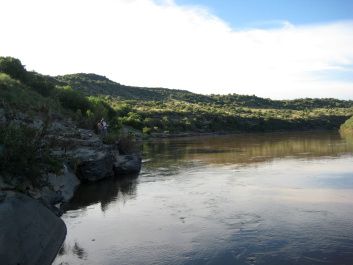 photo 391366