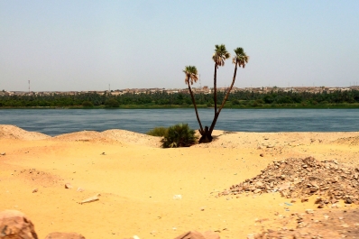 photo 845065
