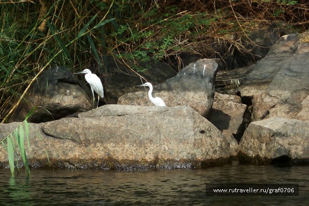 photo 845089