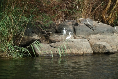 photo 845090