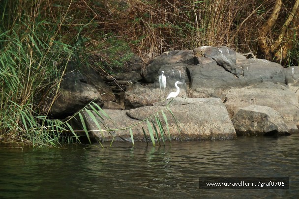 photo 845090