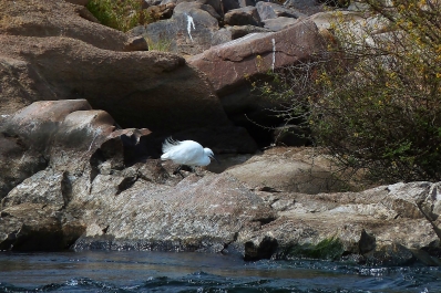 photo 845097