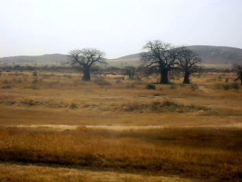 photo 490777