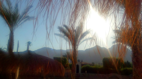photo 483342