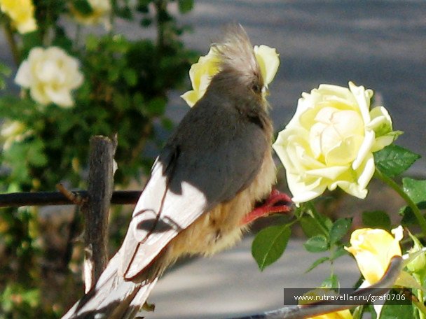 photo 380799