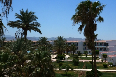 photo 843917