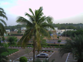 photo 380831